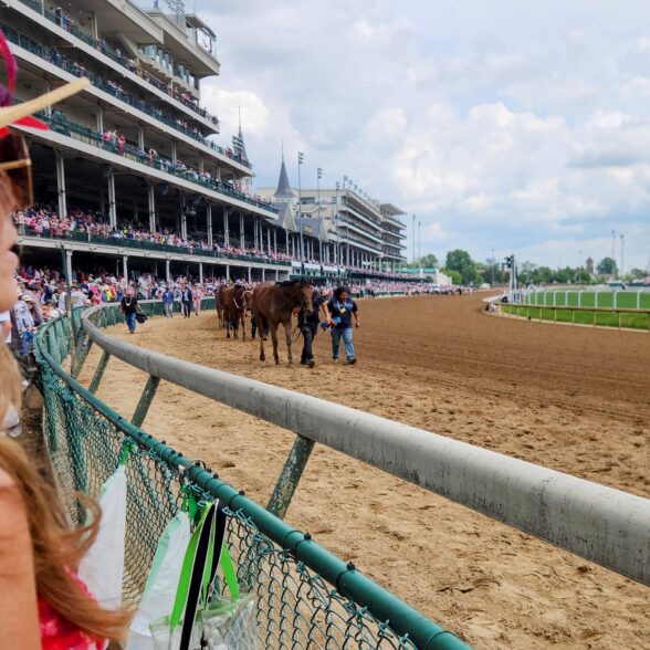 May 2025 Market Update: Looking for a Winner