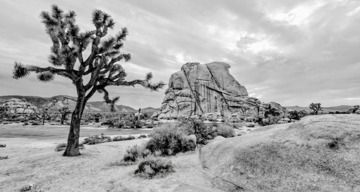 September 2026 Market Update: A Landscape Full of Neutrals