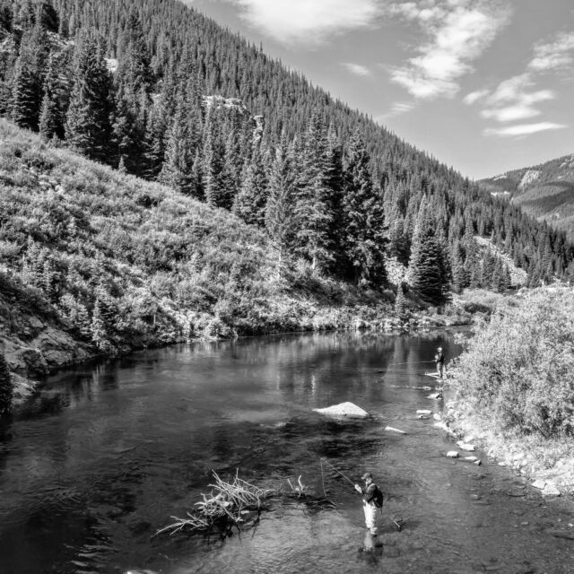 Nothing like a summer afternoon on our fav river, the Taylor, Catch-&-Release section.
